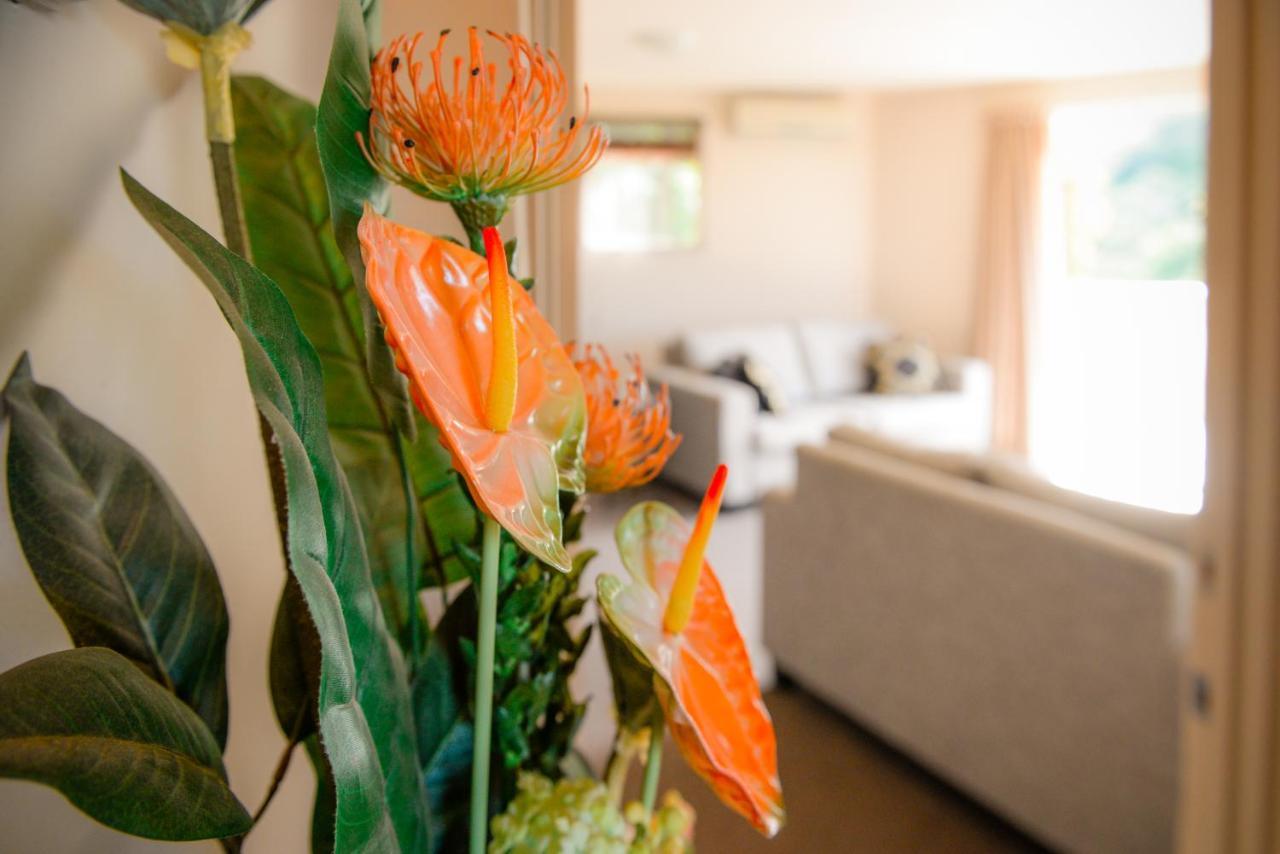 Absolute Bliss Apartments Paihia Εξωτερικό φωτογραφία